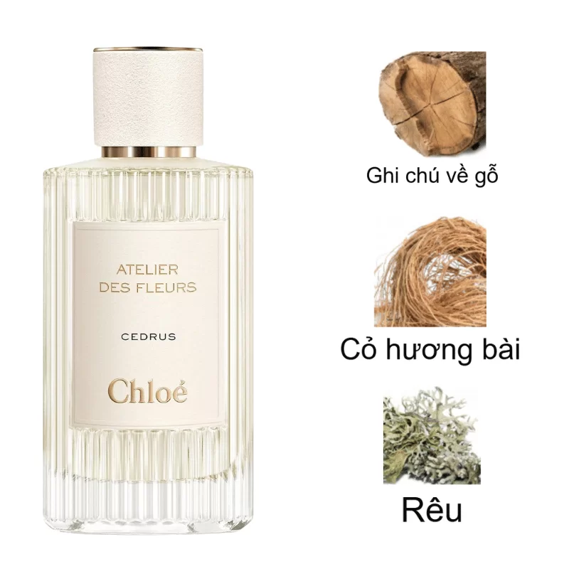 Chloe Atelier Des Fleurs Cedrus mùi hương