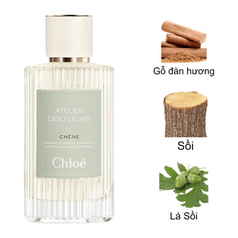 Chloe Atelier Des Fleurs Chêne mùi hương