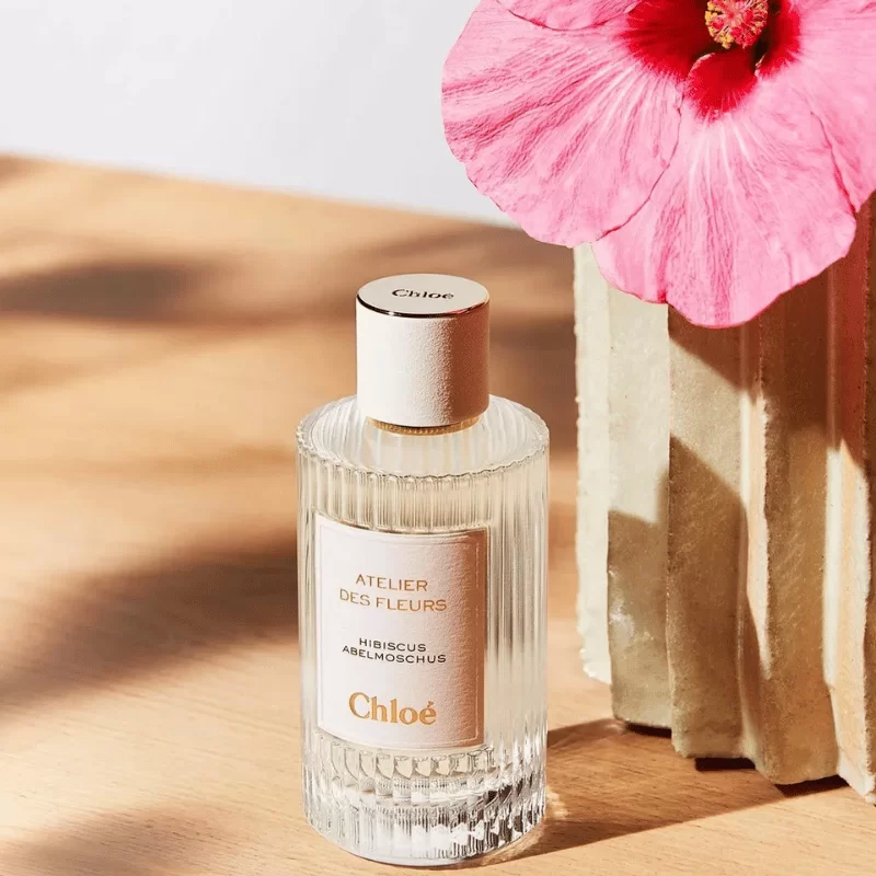 Chloe Atelier Des Fleurs Hibiscus Abelmoschus giá tốt nhất