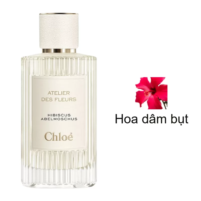 Chloe Atelier Des Fleurs Hibiscus Abelmoschus mùi hương