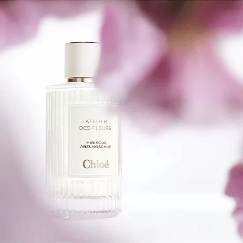 Chloe Atelier Des Fleurs Hibiscus Abelmoschus tại Hà Nội