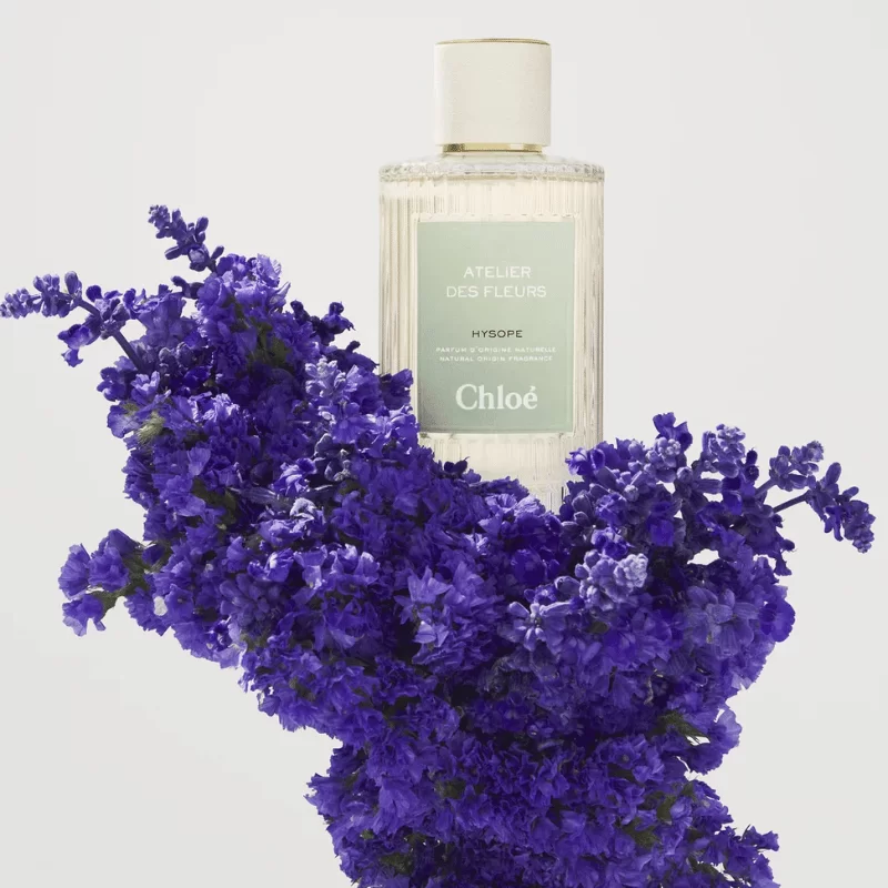 Chloe Atelier Des Fleurs Hysope tại Hà Nội Chloe Atelier Des Fleurs Hysope tại Hà Nội
