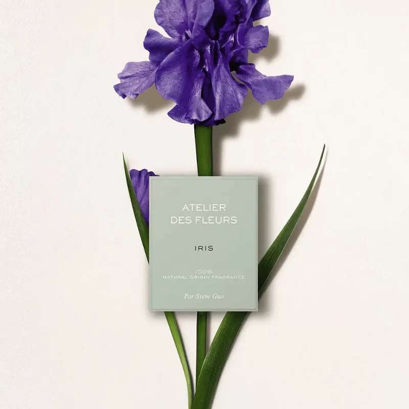 Chloe Atelier Des Fleurs Iris tại Hà Nội Chloe Atelier Des Fleurs Iris tại Hà Nội