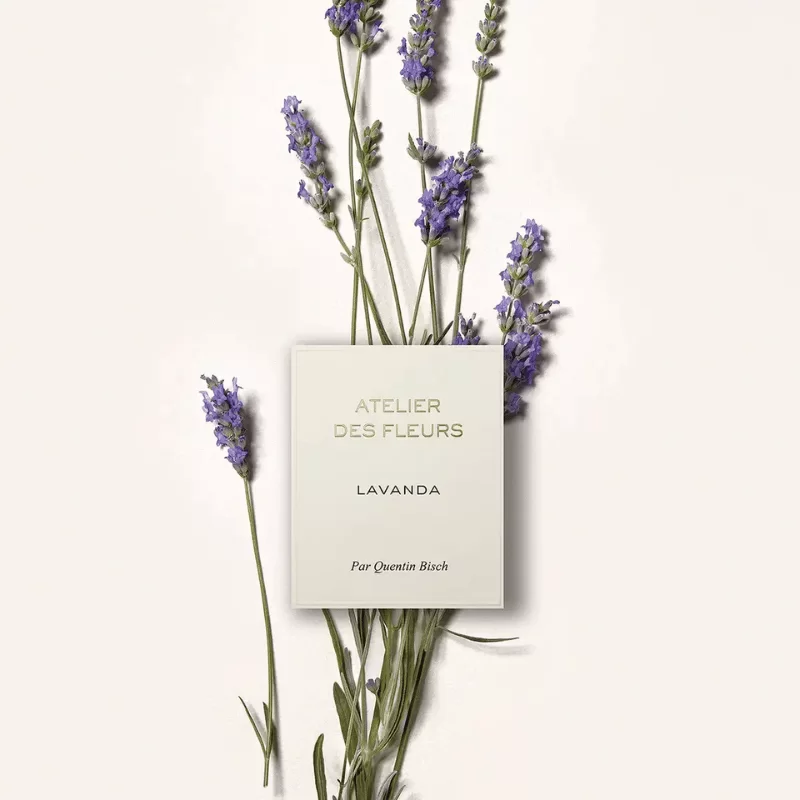 Chloe Atelier Des Fleurs Lavanda tại Hà Nội