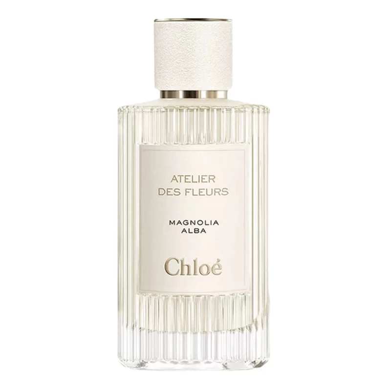 Chloe Atelier Des Fleurs Magnolia Alba Apa Niche