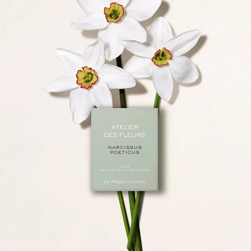 Chloe Atelier Des Fleurs Narcissus Poeticus tại Hà Nội