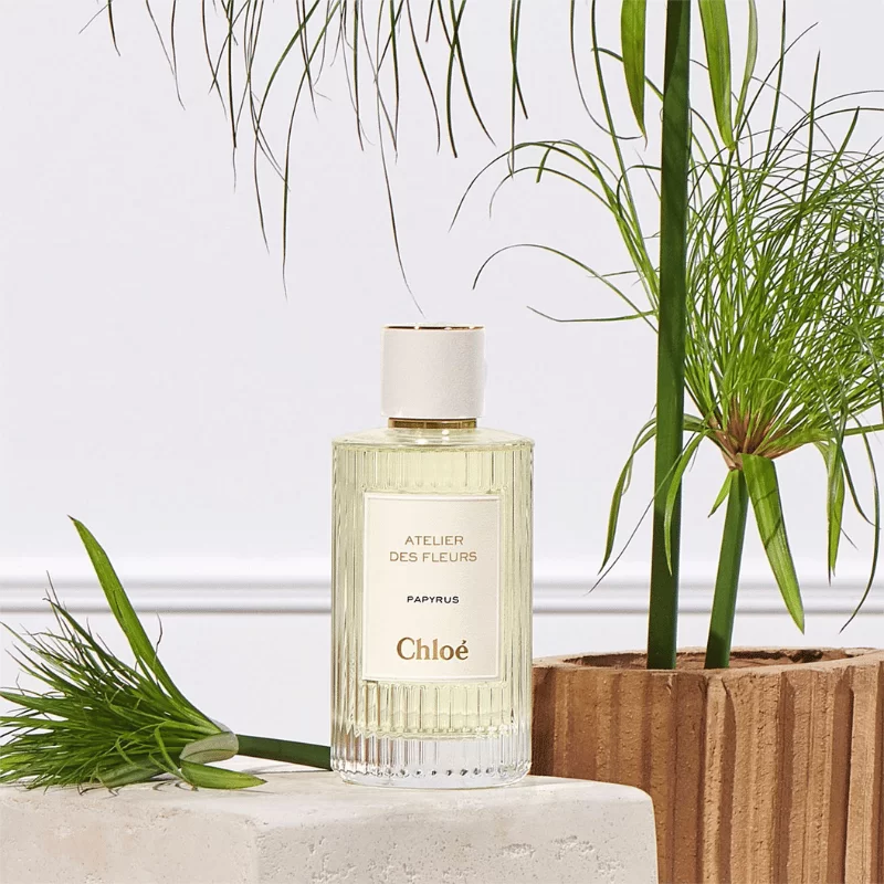 Chloe Atelier Des Fleurs Papyrus giá tốt nhất