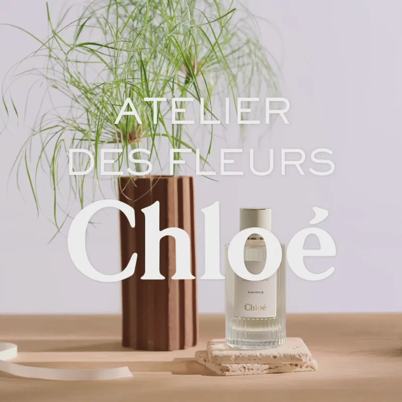 Chloe Atelier Des Fleurs Papyrus tại Hà Nội