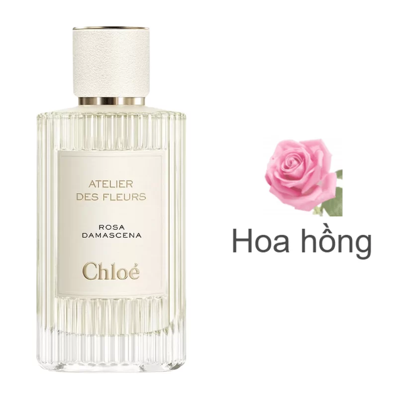 Chloe Atelier Des Fleurs Rosa Damascena mùi hương