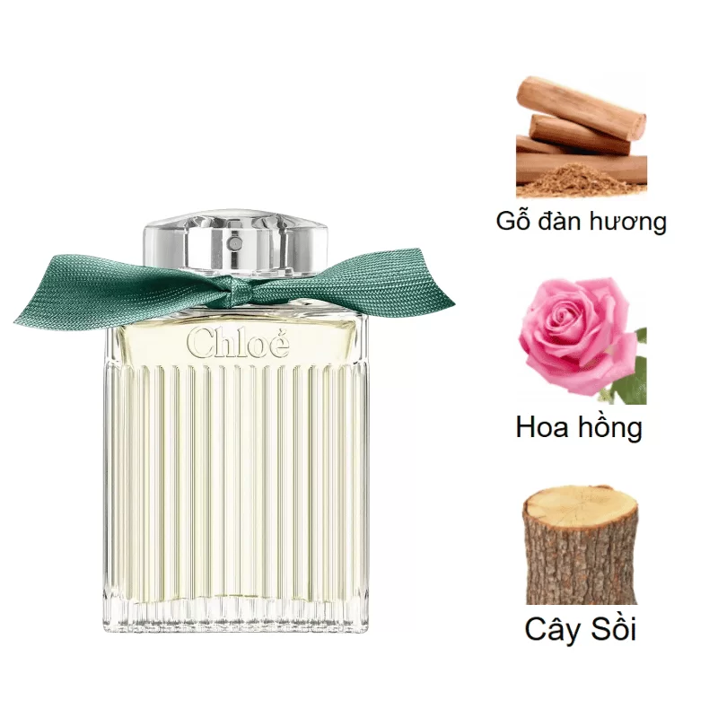 Chloe Rose Naturelle Intense EDP mùi hương Chloe Rose Naturelle Intense EDP mùi hương
