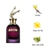 Jean Paul Gaultier Scandal Intense edp 2025 mui huong