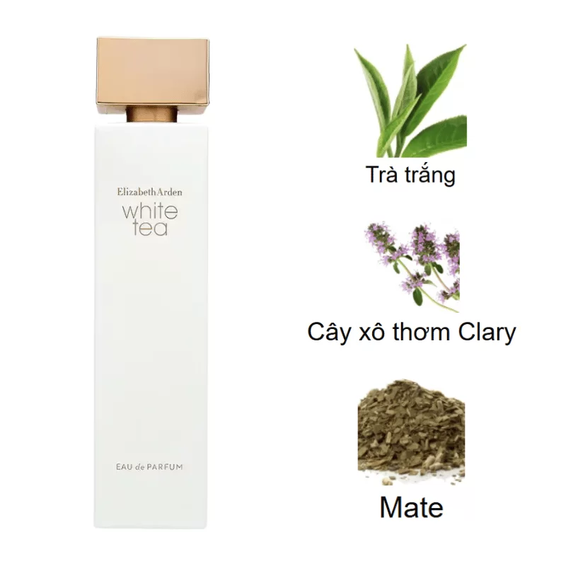Elizabeth Arden White Tea EDP mùi hương