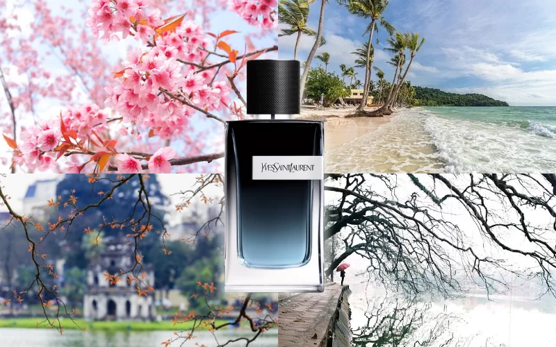 Ysl Y EDP dùng mùa nào?