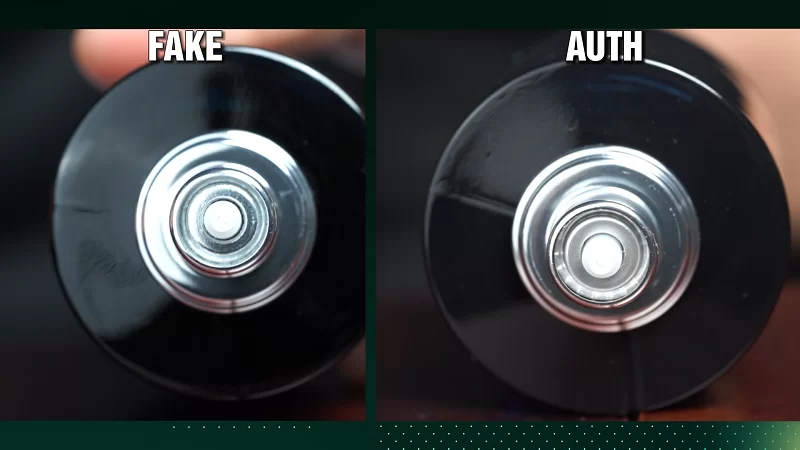 AUTH FAKE SAUVAGE ELIXIR