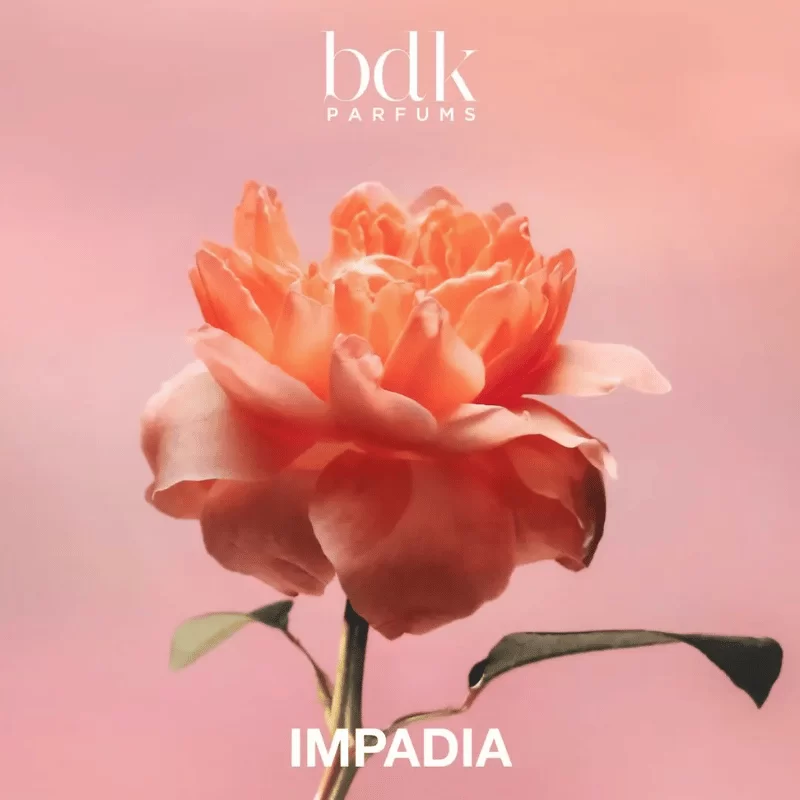 Amouage Purpose 50 EDP tại Hà Nội Amouage Purpose 50 EDP tại Hà Nội