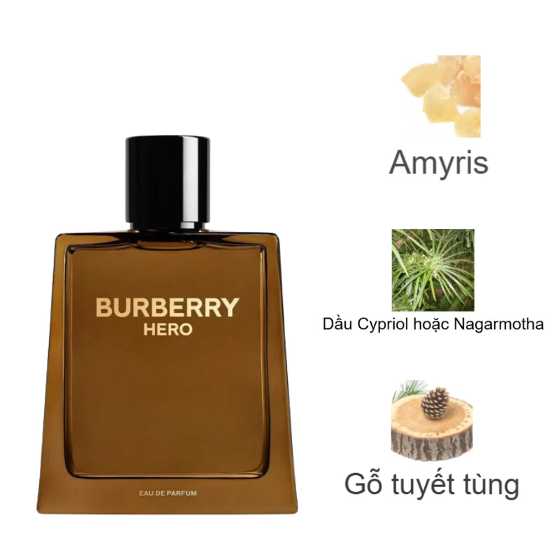Burberry Hero Parfums mùi hương