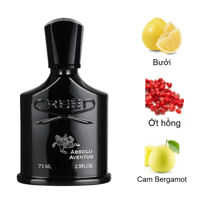 Creed Absolu Aventus EDP mùi hương