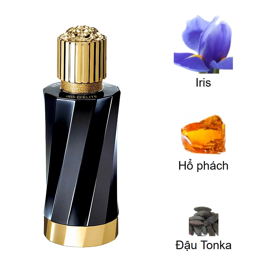 Atelier Versace Iris D’Elite mui huong