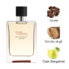 Hermes Terre d'Hermès EDP Intense 2025 mùi hương