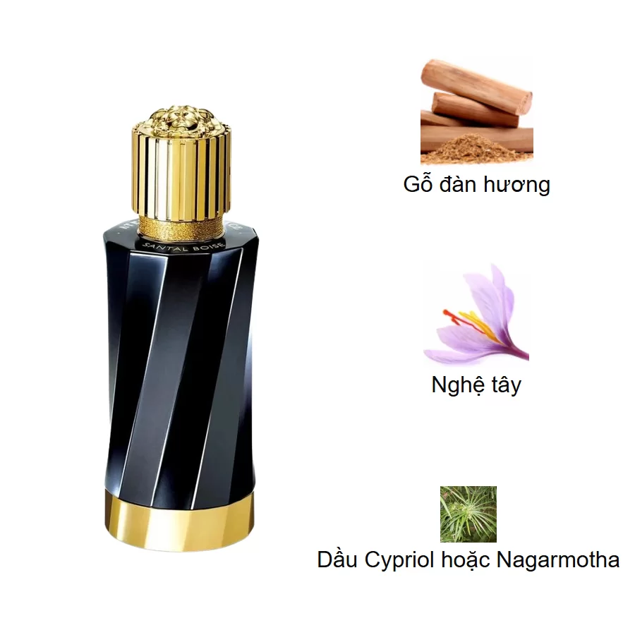 Atelier Versace Santal Boise EDP mui huong