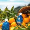 Atelier des Ors Riviera Sunrise EDP tại Hà Nội