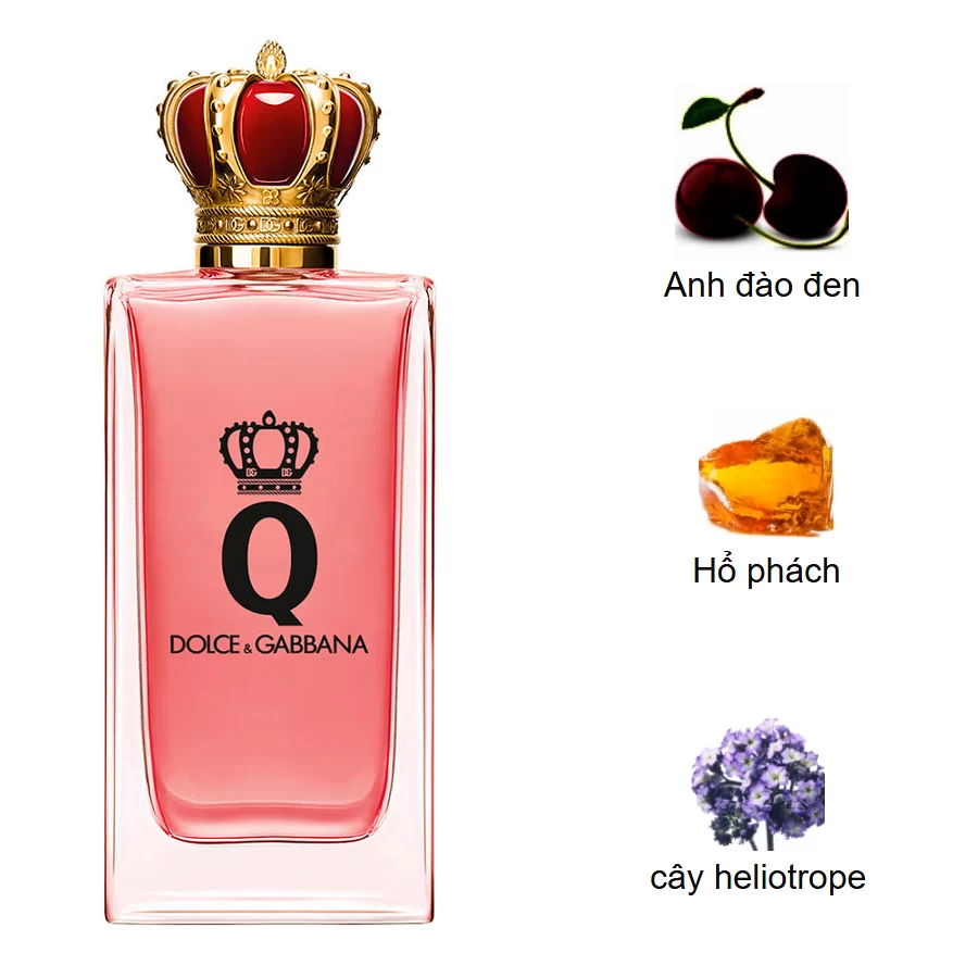 Dolce & Gabbana Q EDP Intense mui huong