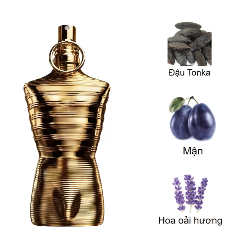Jean Paul Gaultier Le Male Elixir Absolu 2025 mùi hương