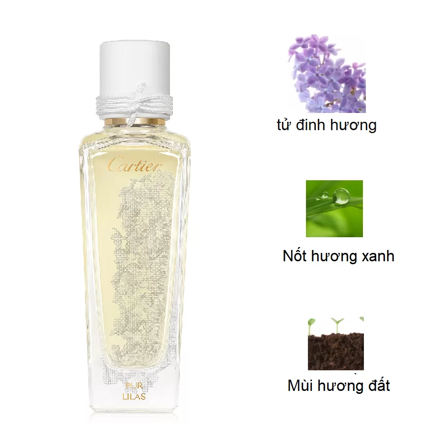Cartier Pur Lilas mui huong