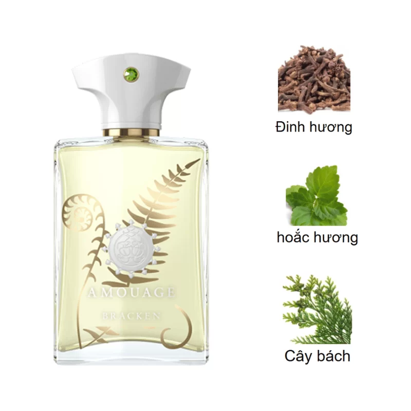 Amouage Bracken Man EDP mùi hương Amouage Bracken Man EDP mùi hương