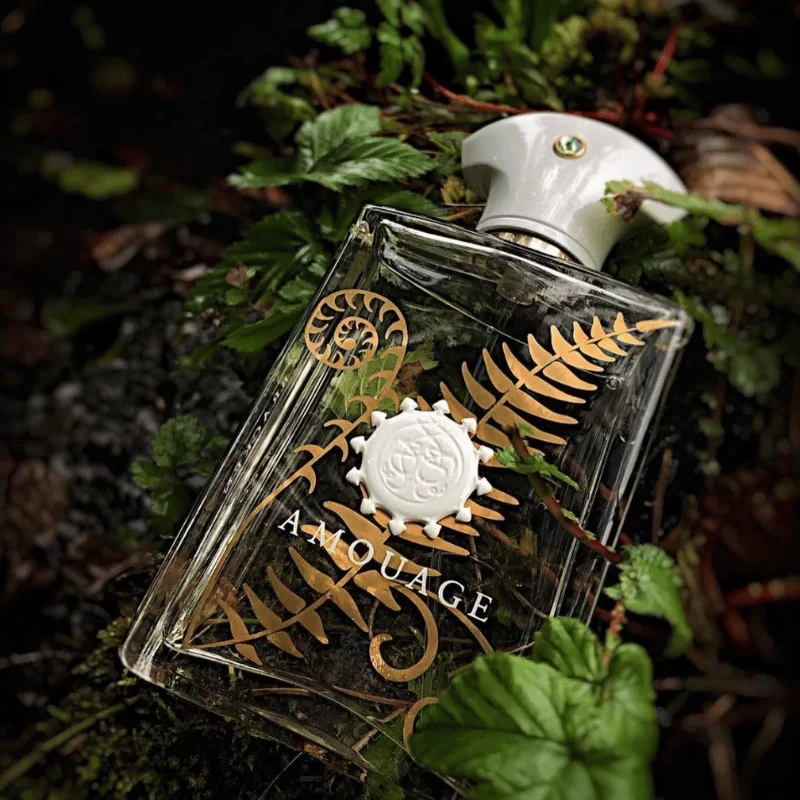 Amouage Bracken Man EDP tại Hà Nội Amouage Bracken Man EDP tại Hà Nội