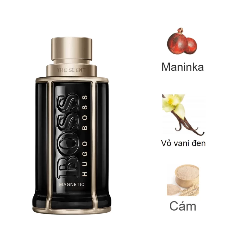 Hugo Boss The Scent Magnetic EDP For Him mùi hương