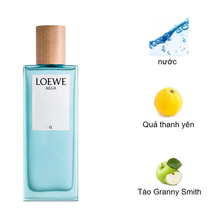 Loewe Agua de Loewe Él EDT mui huong
