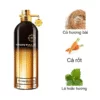 Montale Vetiver Patchouli EDP mùi hương