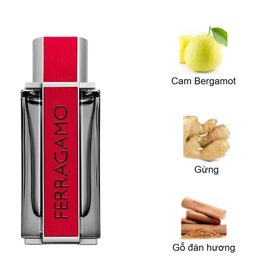 Salvatore Ferragamo Red Leather mui huong Salvatore Ferragamo Red Leather mui huong