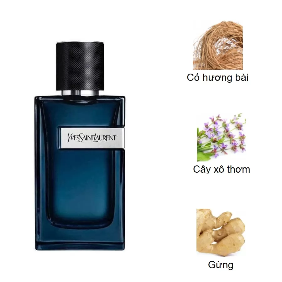 Yves Saint Laurent Y EDP Intense mui huong Yves Saint Laurent Y EDP Intense mui huong