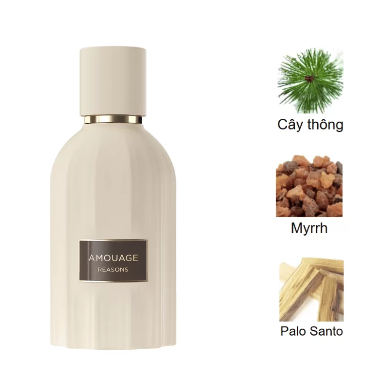 Amouage Reasons EDP mùi hương