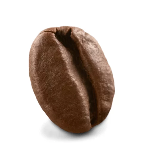 Cà phê