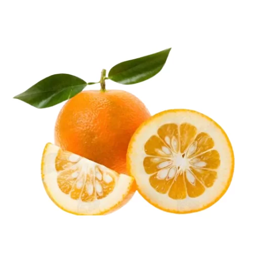 Cam Đắng Cam Đắng