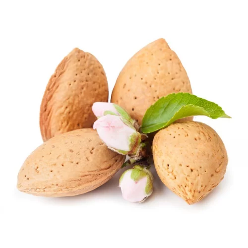 Hạnh Nhân Hạnh Nhân