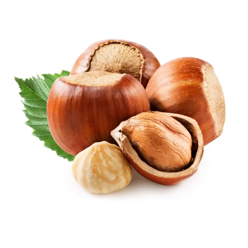 Hạt Phỉ Hạt Phỉ