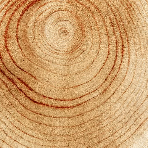 Iso E Super Iso E Super