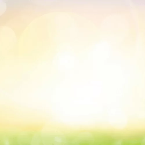 Nốt Hương Mặt Trời Nốt Hương Mặt Trời