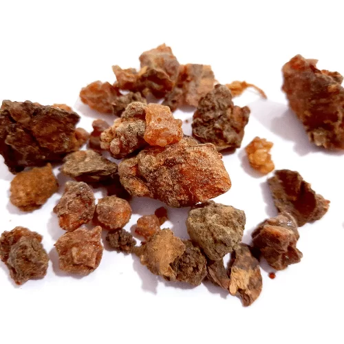 Mộc Dược Mộc Dược