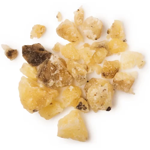 Nhựa Elemi Nhựa Elemi