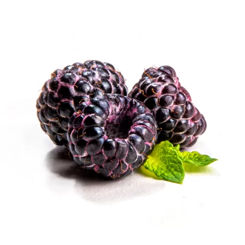 Quả Mâm Xôi Đen Quả Mâm Xôi Đen