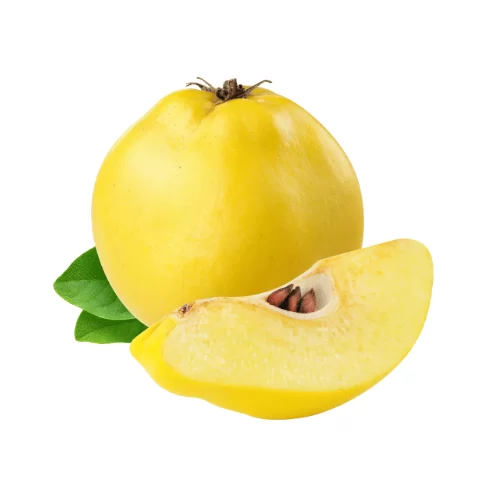 Quả Mộc Qua Quả Mộc Qua