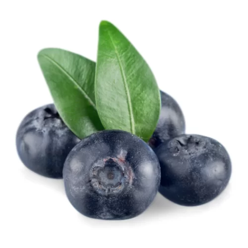 Quả Việt Quất Quả Việt Quất