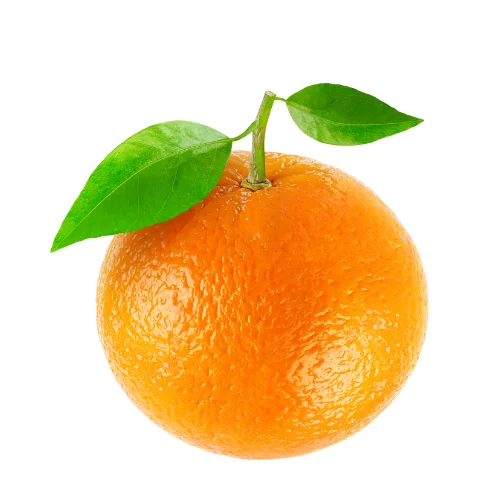 Quýt