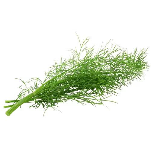 Thì Là Ngọt Thì Là Ngọt