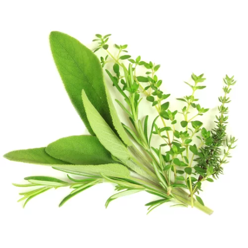 Thơm Thảo Mộc Thơm Thảo Mộc